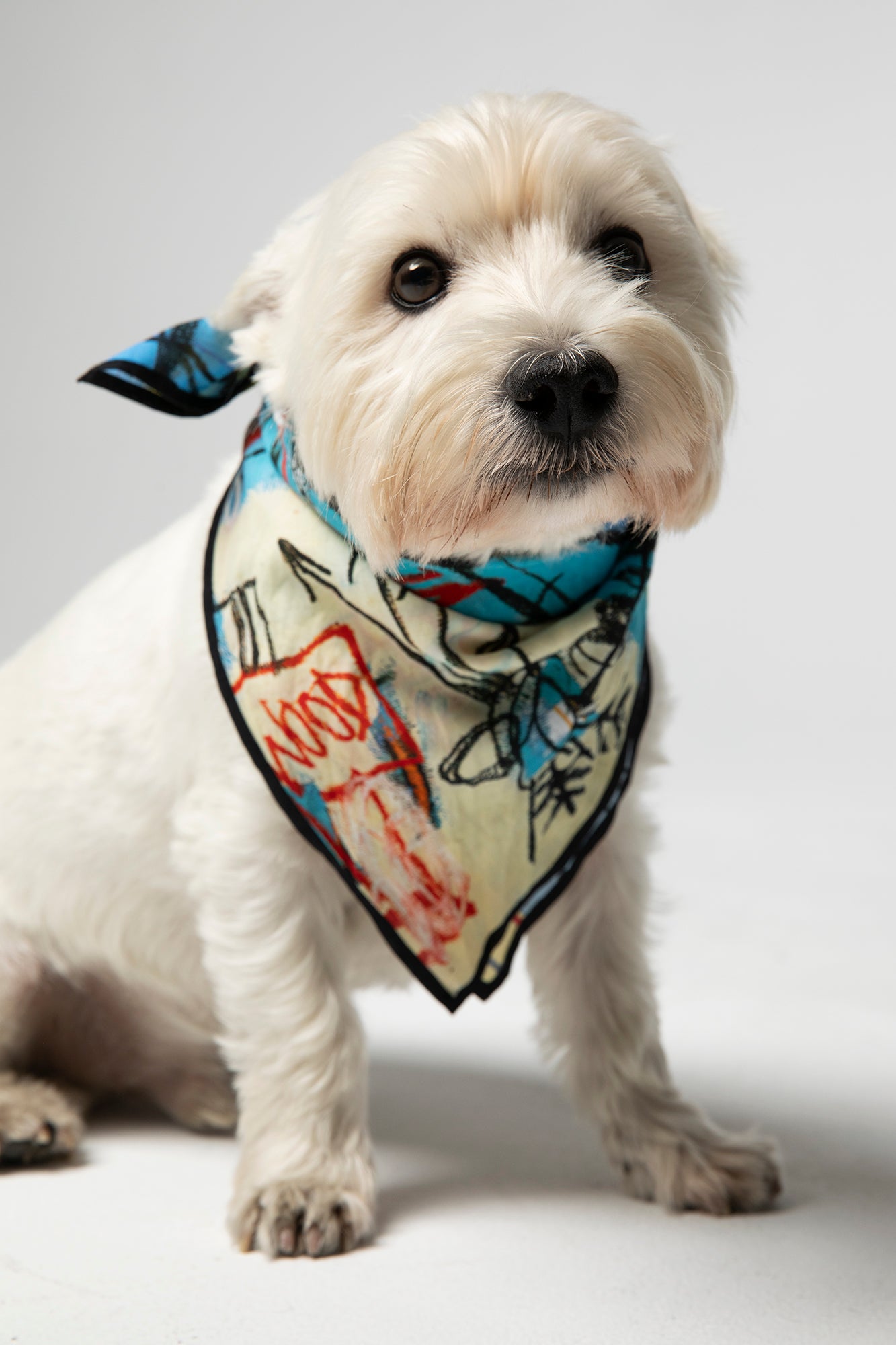 Westie bandana shop