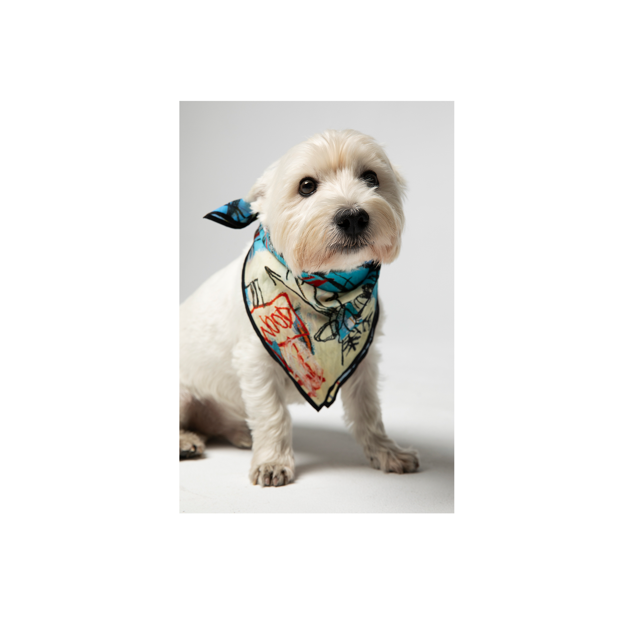 Jean-Michel Basquiat “Bird on Money” Bandana
