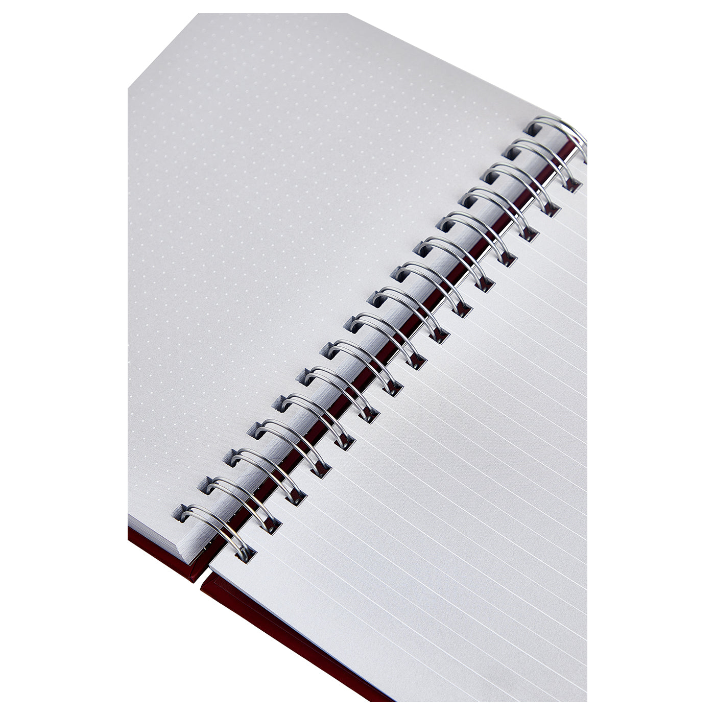 Alexander Calder "The Forest is the Best Place" Notebook
