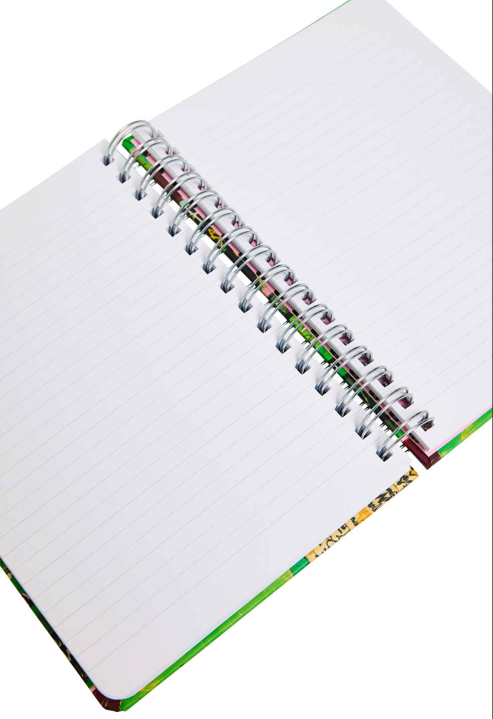 Jean-Michel Basquiat "In Italian" Wire-O Notebook