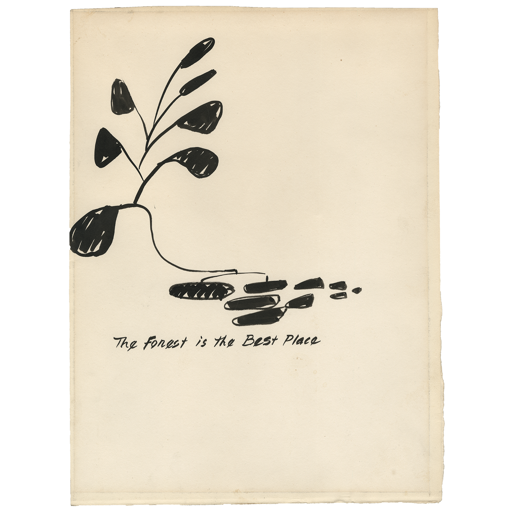 Calder “The Forest is the Best Place” Wire-O Notebook